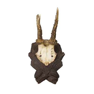 Black Forest Antique Red Deer Trophy on Carved Plaque Germany 1920s.
