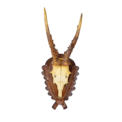 Vintage Black Forest Red Deer Trophy on Carved Plaque, Germany 1950s.