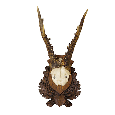 Black Forest Red Deer Trophy on Carved Plaque, Germany 1930s.
