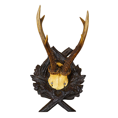 Antique Red Deer Trophy on Carved Plaque, Black Forest, Germany 1900.