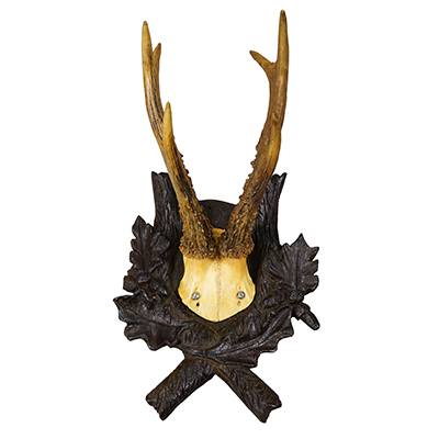 Antique Red Deer Trophy on Carved Plaque, Black Forest, Germany 1900.
