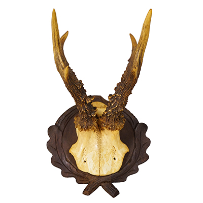 Antique Red Deer Trophy on Carved Plaque, Black Forest, Germany ca.1935.